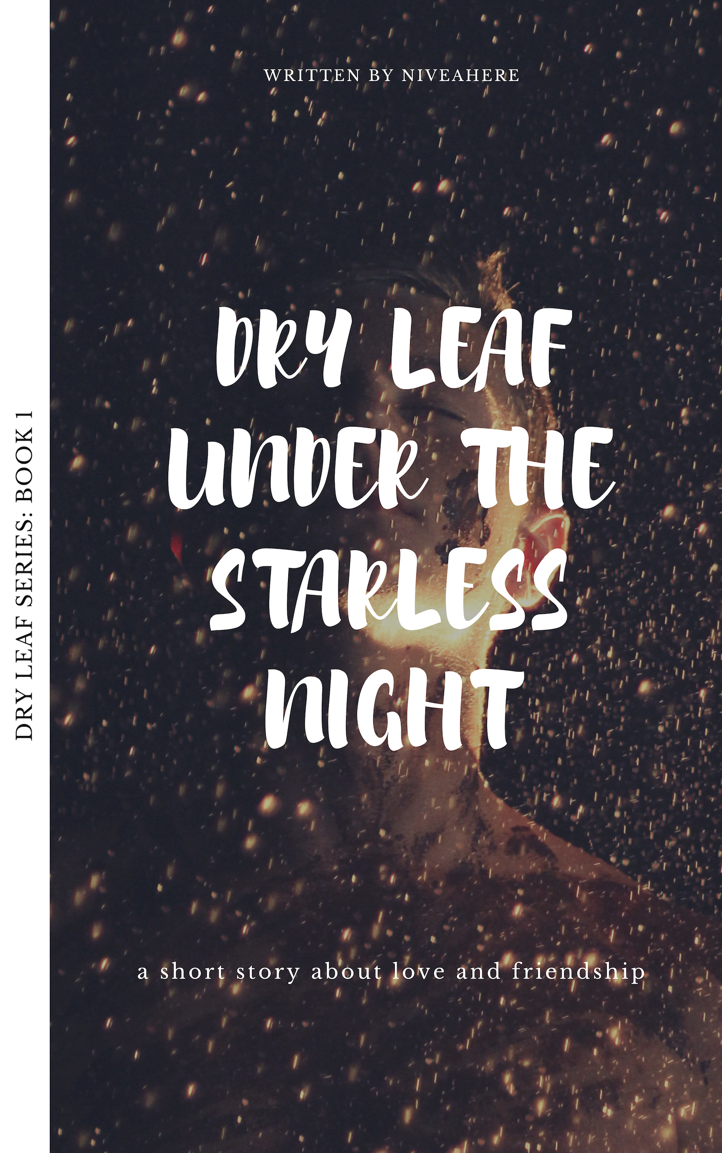 Dry Leaf Under The Starless Night